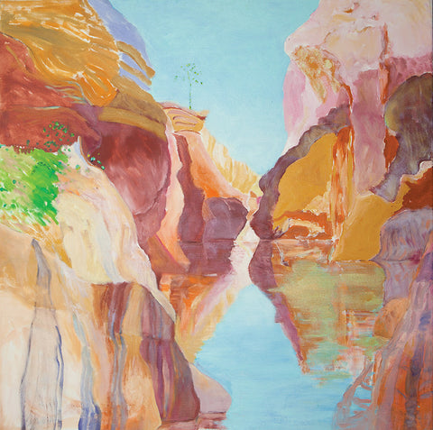 Cobbold Gorge (2009)